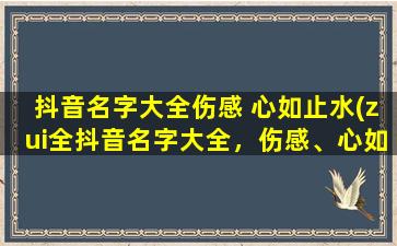 抖音名字大全伤感 心如止水(zui全抖音名字大全，伤感、心如止水、闺蜜、情侣、霸气等，让你秒变网红！)